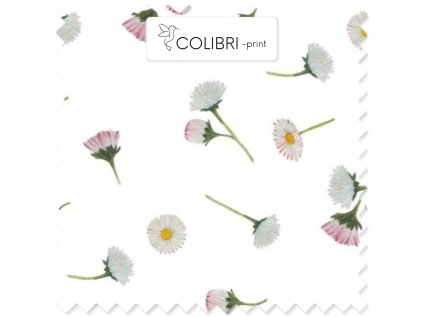 AP649171326047126 2026 01 19T091439.751