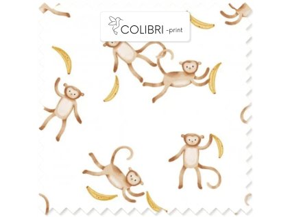 AP649171326047126 2026 01 19T092708.388