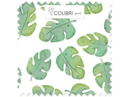 AP649171326047126 2026 01 19T093738.418