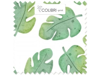 AP649171326047126 2026 01 19T094002.401