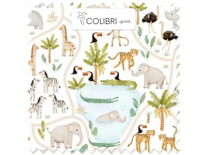 AP649171326047126 2026 01 19T094213.801