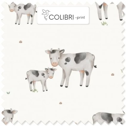 AP649171326047126 (48)