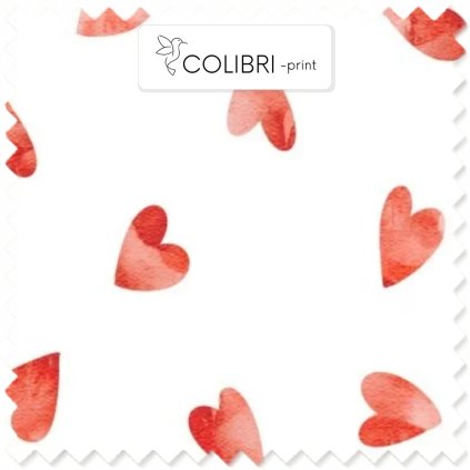 Návrh bez názvu (19)