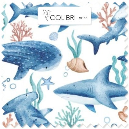 Návrh bez názvu (21)