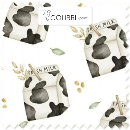 Návrh bez názvu (35)