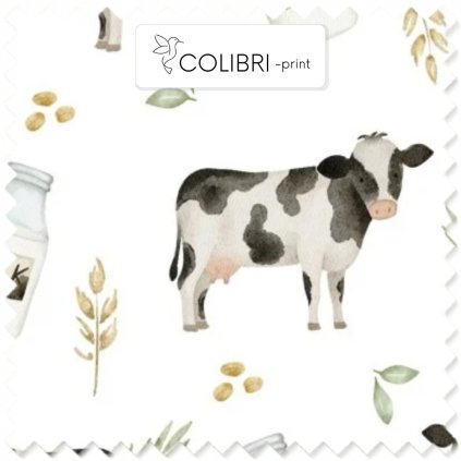 Návrh bez názvu (37)