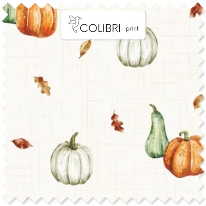 Návrh bez názvu (65)