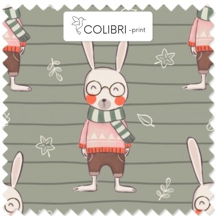 Návrh bez názvu (73)