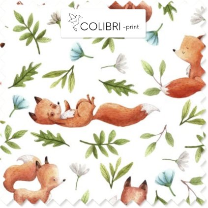 Návrh bez názvu (11)