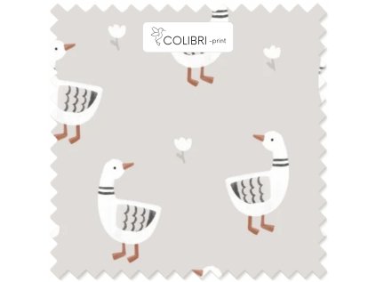 Návrh bez názvu 2026 01 07T130413.867