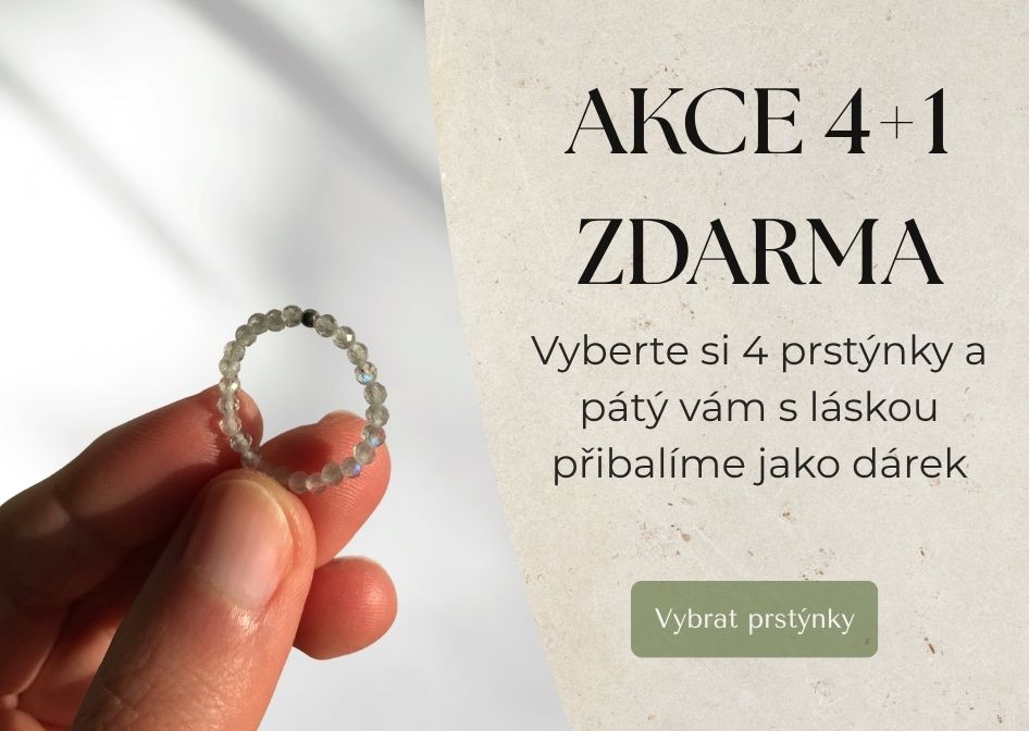 Hlavní nabídka
