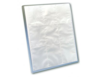 6466 PANINI binder