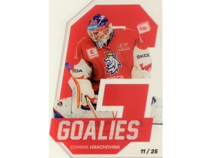 3431 dominik hrachovina