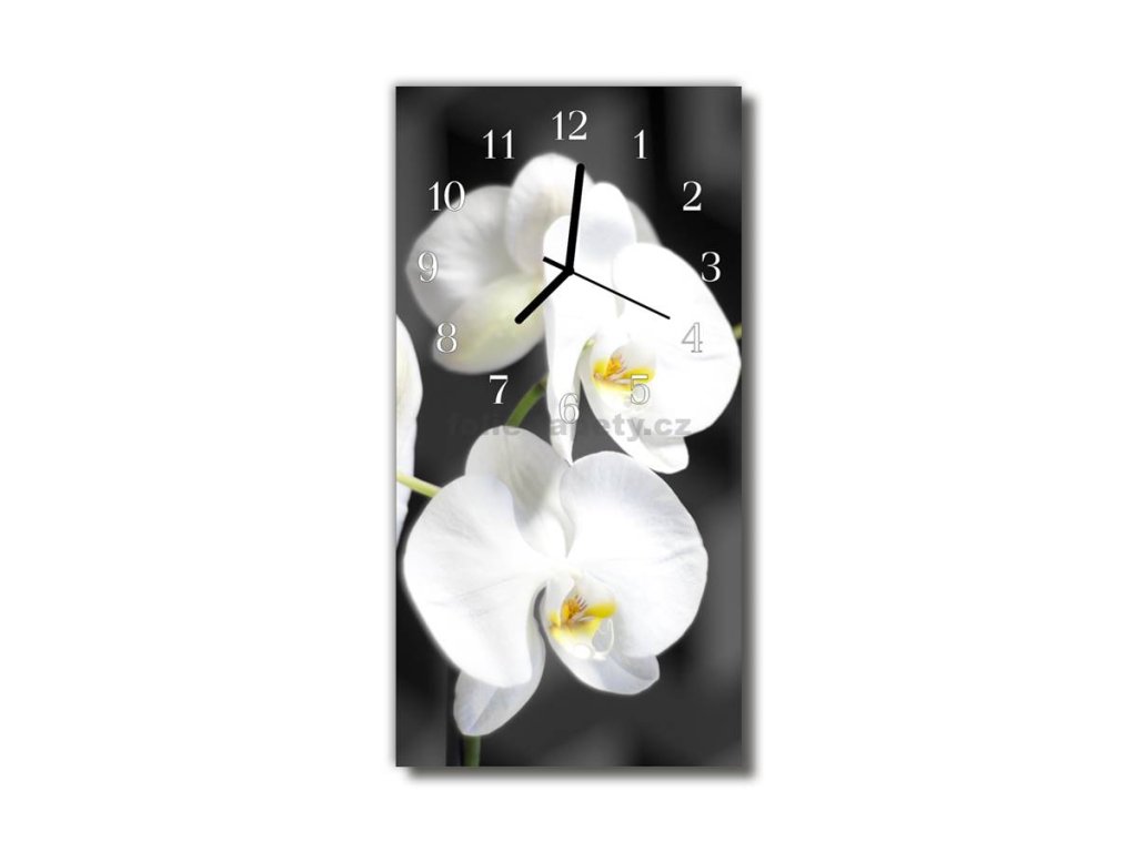Nástěnné hodiny obrazové na skle - Orchidej bílá