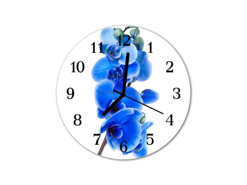 Nástěnné hodiny obrazové na skle - Orchidej modrá I