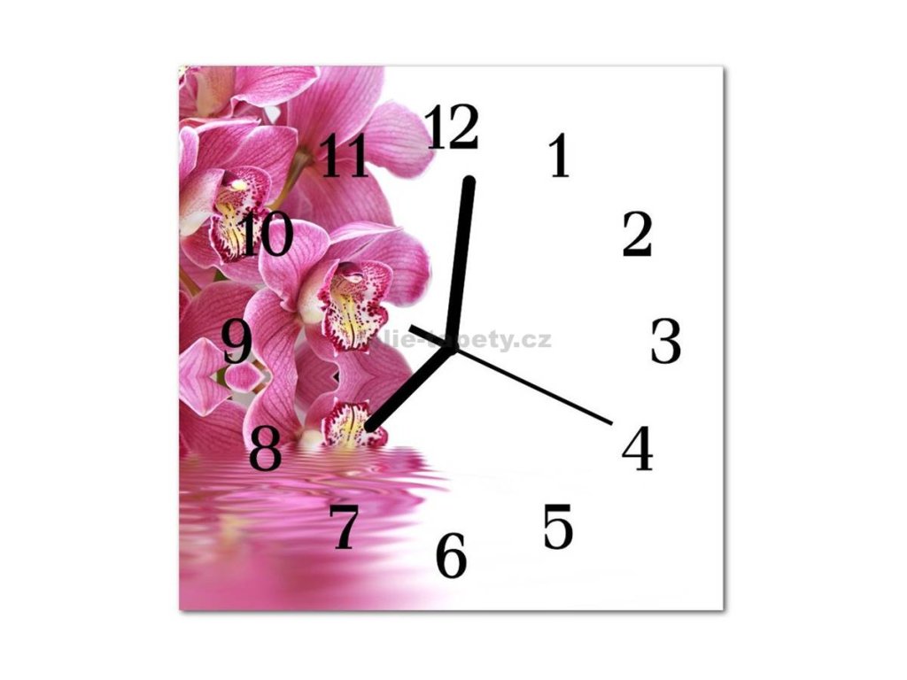 Nástěnné hodiny obrazové na skle - Orchidej tmavě růžová