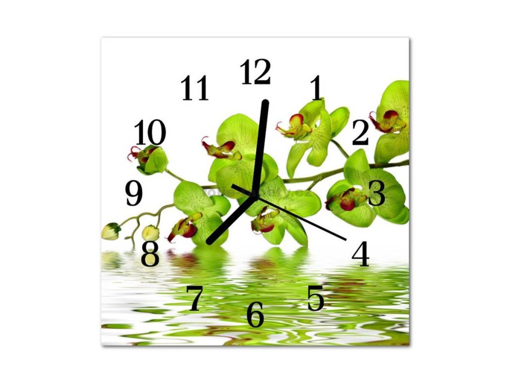 Nástěnné hodiny obrazové na skle - Orchidej zelená
