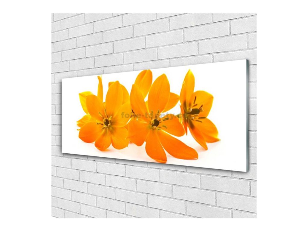 41511 obraz na skle oranzove kvety 120 x 60 cm