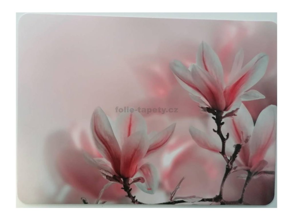 46125 prostirani na korku magnolie