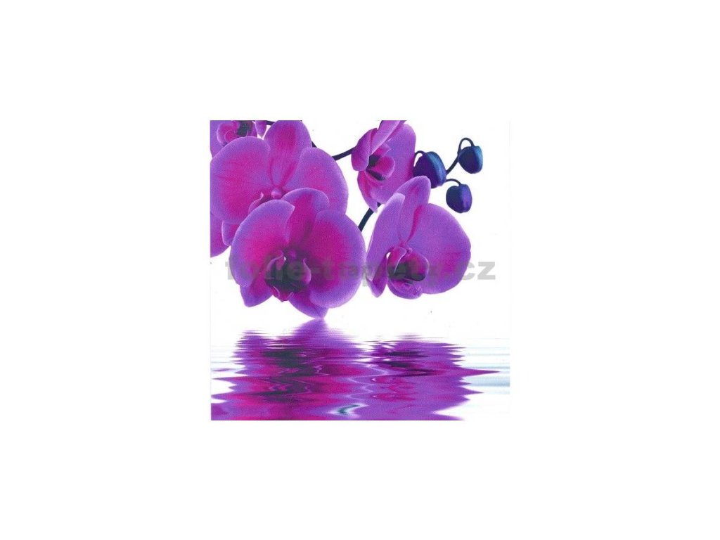 33714 samolepici dekorace na kachlicky orchidei ii 15 x 15 cm