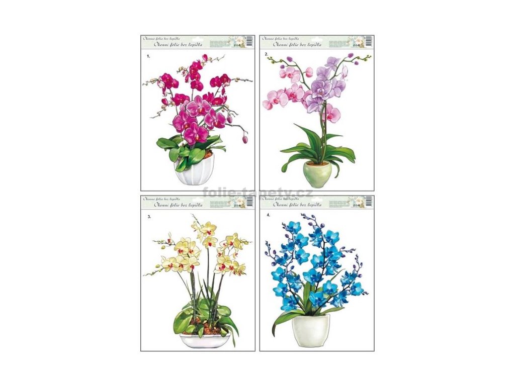 37548 staticke okenni folie orchideje