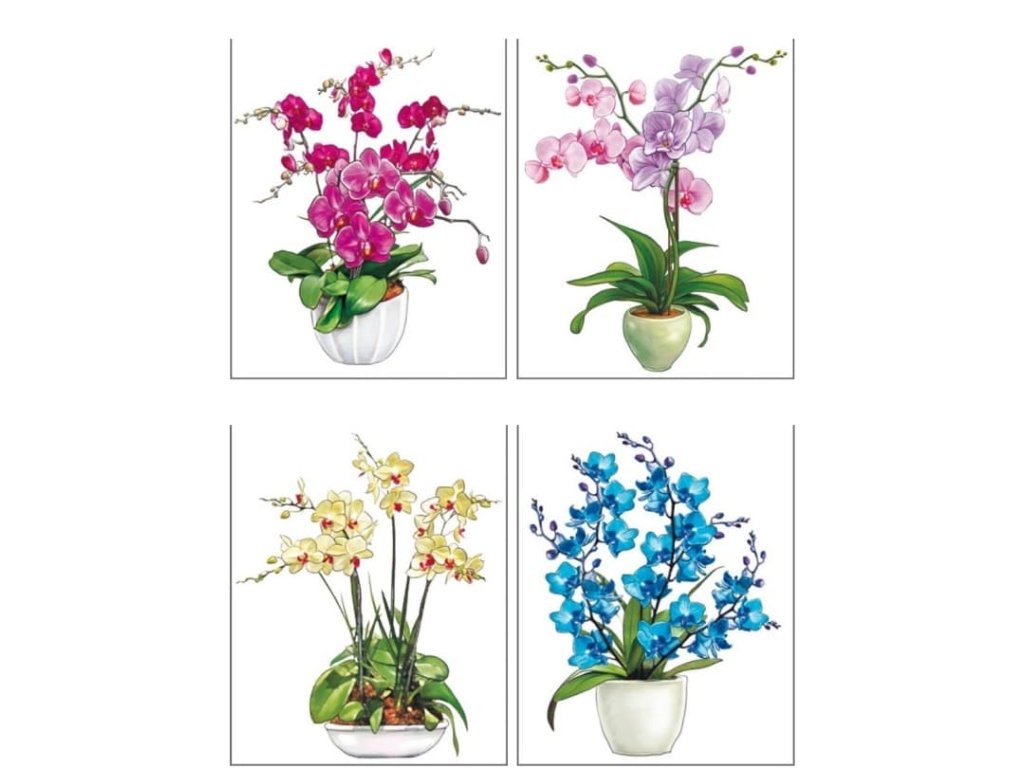 Statická okenní dekorace Orchideje