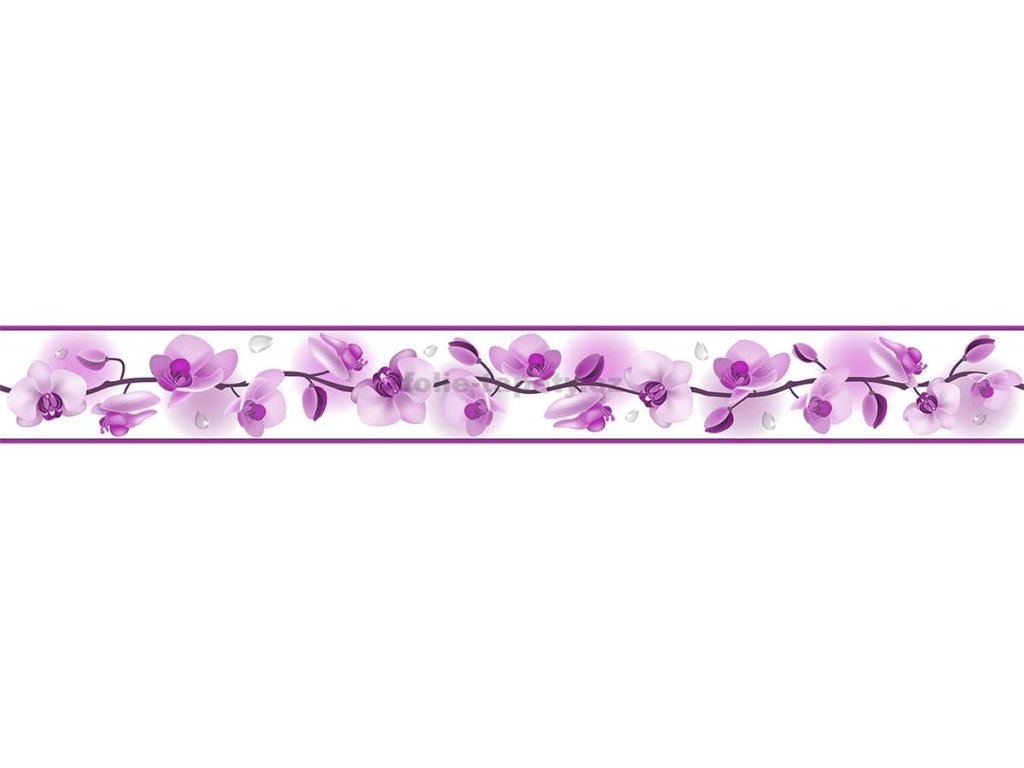 Bordura na zeď samolepicí - Květ orchideje fialový