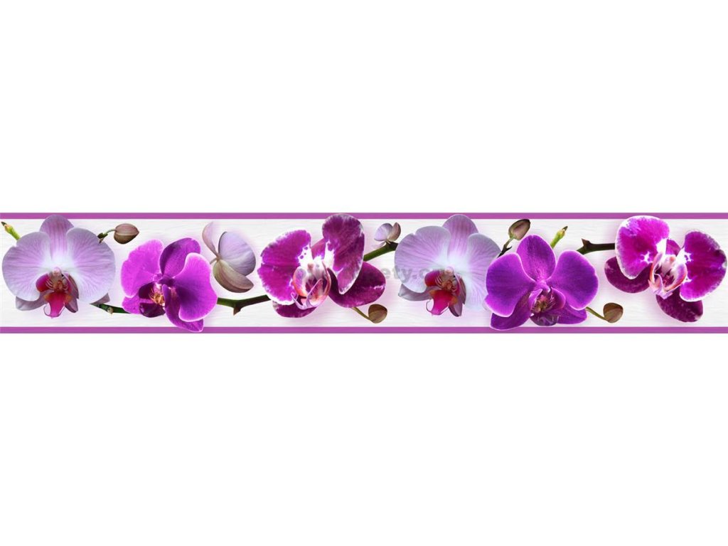 Bordura na zeď samolepicí - Orchidej fialová