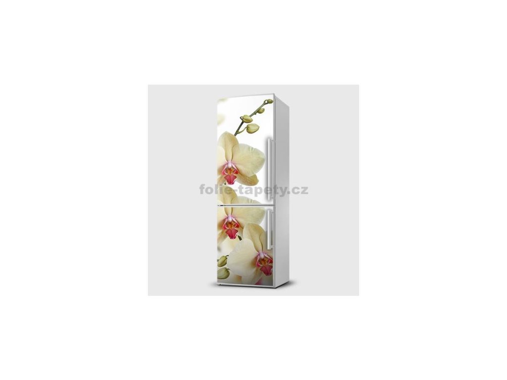 40950 magneticka folie orchidej bila