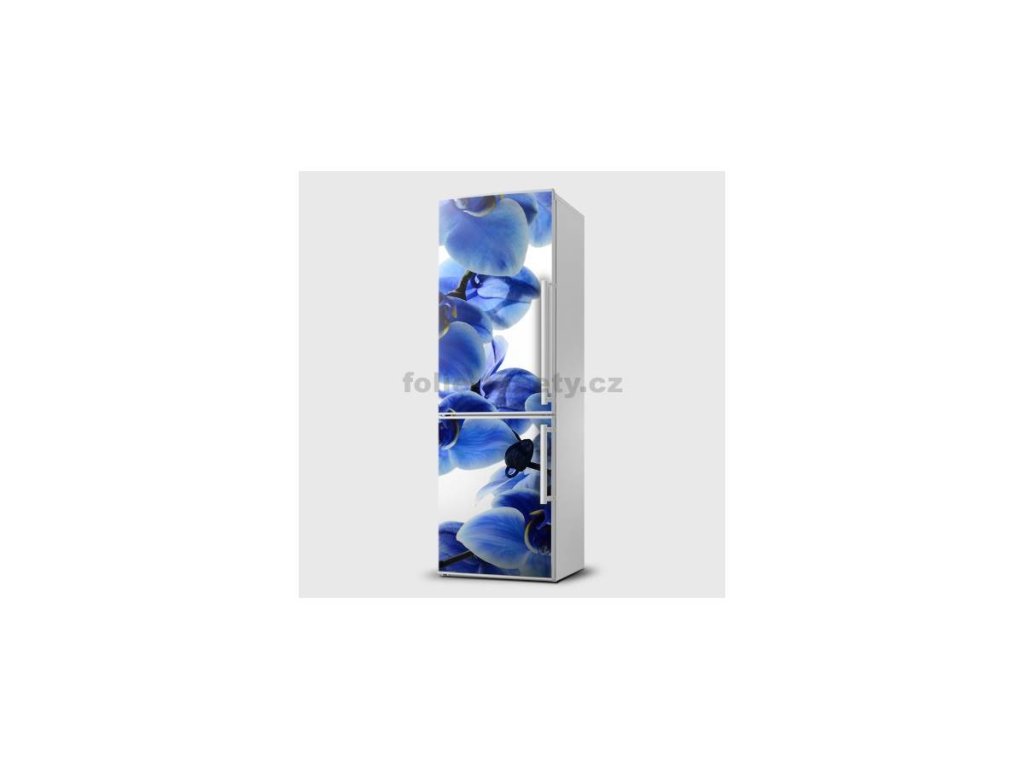41022 magneticka folie orchidej modra