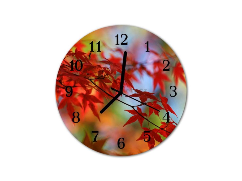 Nástěnné hodiny obrazové na skle - Lístky červené