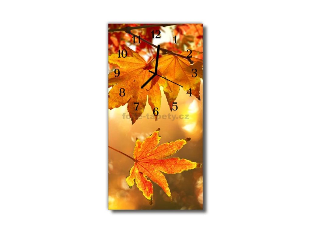 Nástěnné hodiny obrazové na skle - Listy