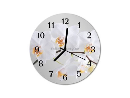 Nástěnné hodiny obrazové na skle - Orchidej bílá I