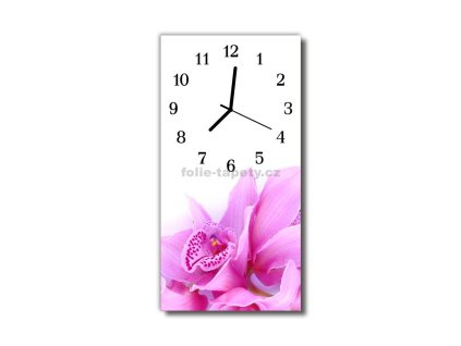 Nástěnné hodiny obrazové na skle - Orchidej I