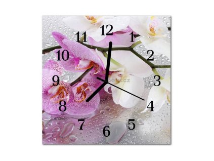 Nástěnné hodiny obrazové na skle - Orchidej růžová a bílá