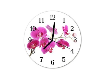 Nástěnné hodiny obrazové na skle - Orchidej růžová I