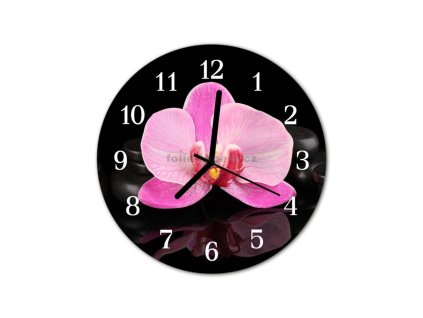 Nástěnné hodiny obrazové na skle - Orchidej růžová II