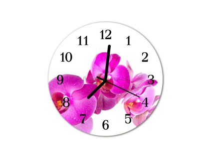 Nástěnné hodiny obrazové na skle - Orchidej růžová IV