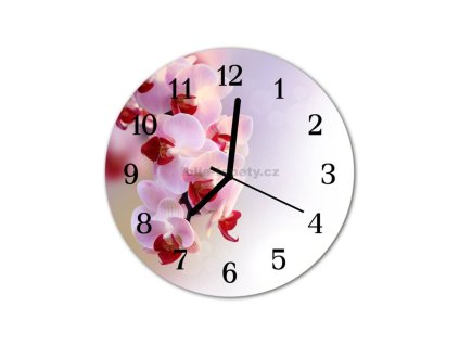 Nástěnné hodiny obrazové na skle - Orchidej světle růžová