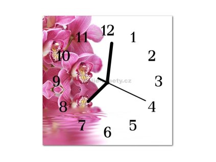 Nástěnné hodiny obrazové na skle - Orchidej tmavě růžová
