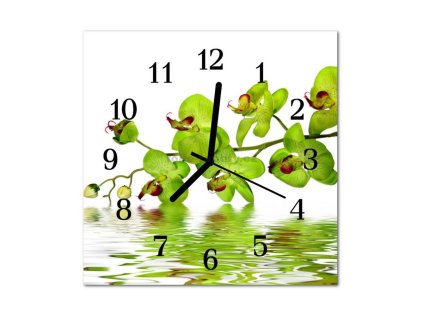Nástěnné hodiny obrazové na skle - Orchidej zelená