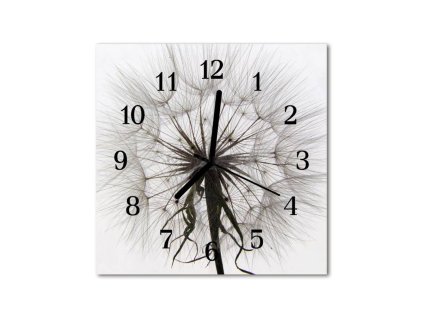 Nástěnné hodiny obrazové na skle - Pampeliška