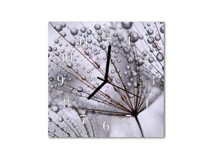 Nástěnné hodiny obrazové na skle - Pampeliška a rosa