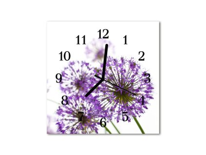 Nástěnné hodiny obrazové na skle - Pampeliška fialová