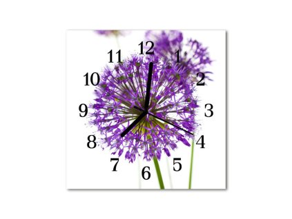 Nástěnné hodiny obrazové na skle - Pampeliška fialová