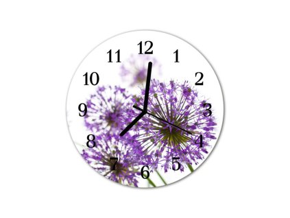 Nástěnné hodiny obrazové na skle - Pampeliška fialová I