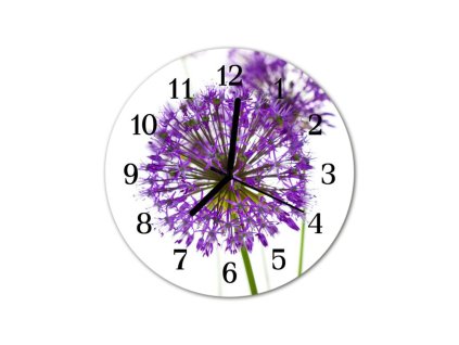 Nástěnné hodiny obrazové na skle - Pampeliška fialová II