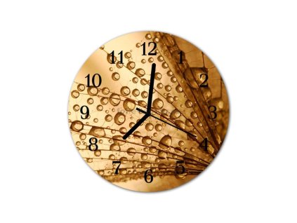 Nástěnné hodiny obrazové na skle - Pampeliška