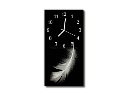 Nástěnné hodiny obrazové na skle - Peříčko