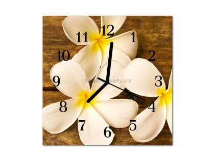 Nástěnné hodiny obrazové na skle - Plumérie